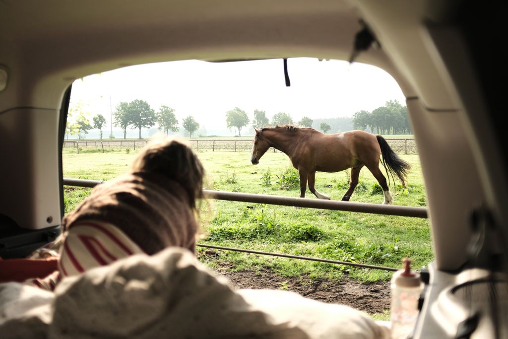 Equitazione e campeggio nell'idilliaco maneggio LG Heide