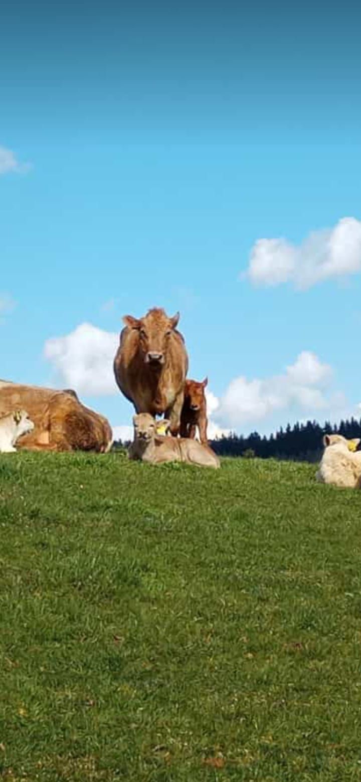 In the valley of the Orpe on the farm