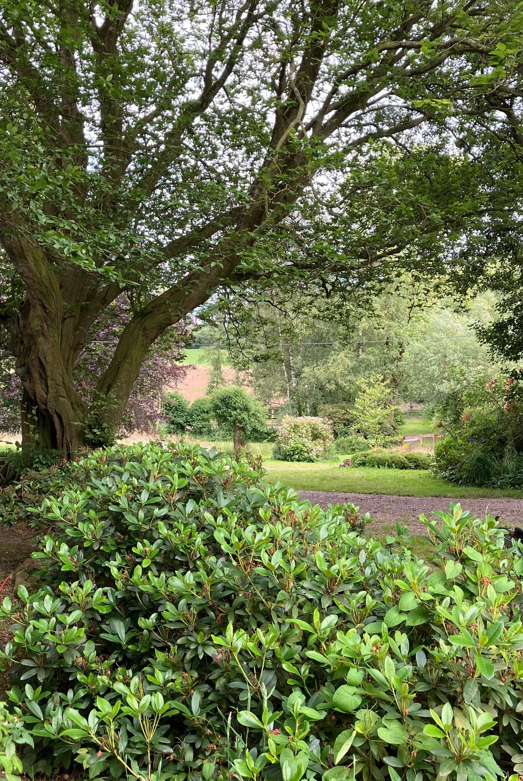Parcela junto a pasto para caballos y estanque natural