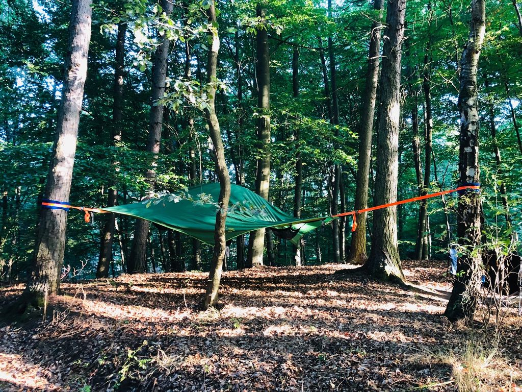 Schweben im Hängezelt im Buchengrün