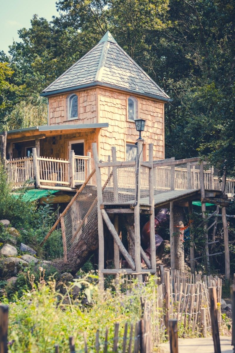 Casa sostenible en un árbol al borde del bosque