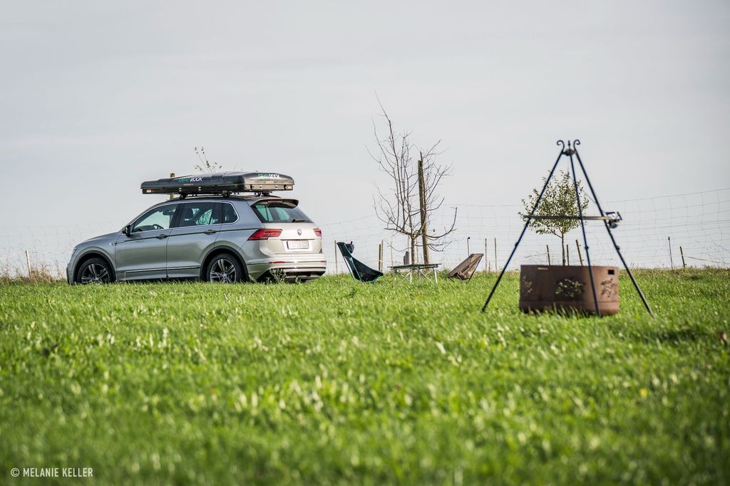 Meadow pitches on organic farm