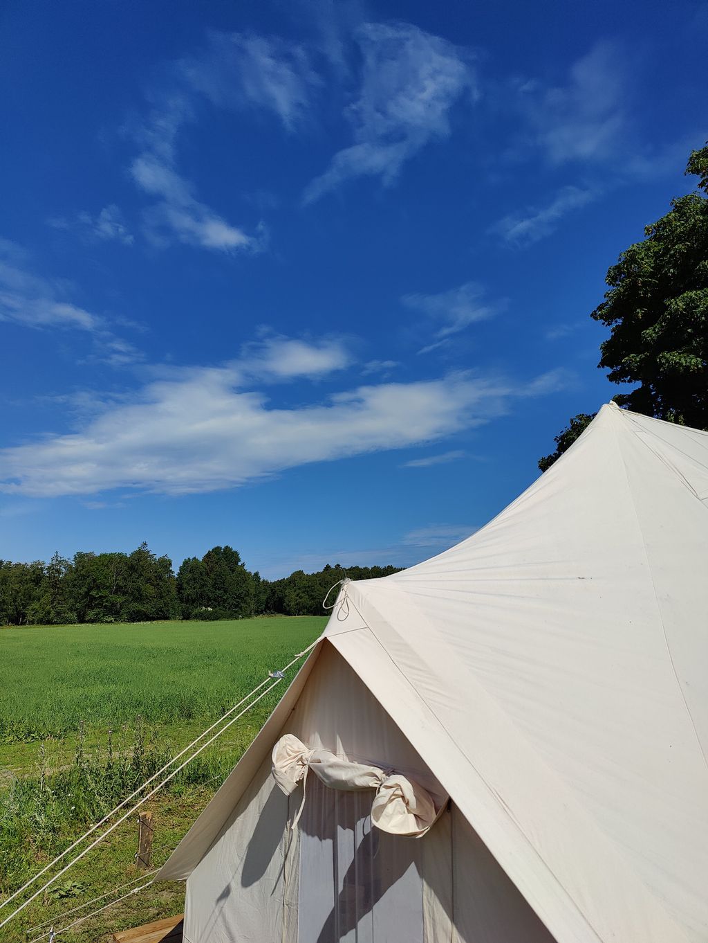 Luxus-Zelt Gøgen im Ølene Naturpark