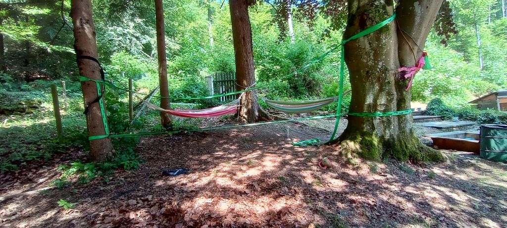 Parcela forestal para pequeños campistas o tiendas de campaña