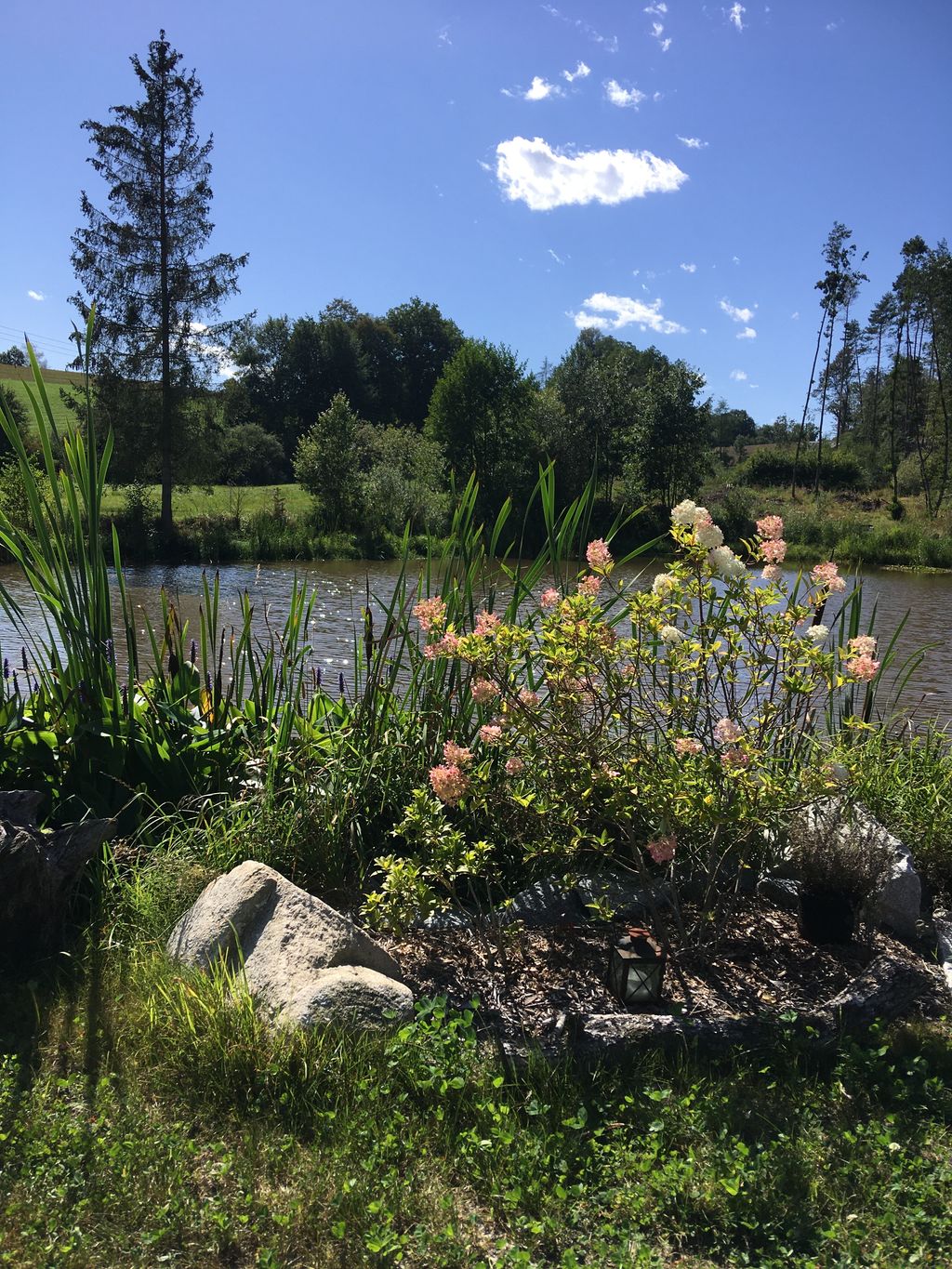 Wilde Heimat, malerische Anlage inmitten der Natur