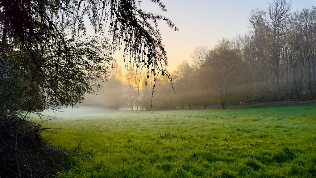 Nature Camping with a Fire Pit in the Lahn Valley