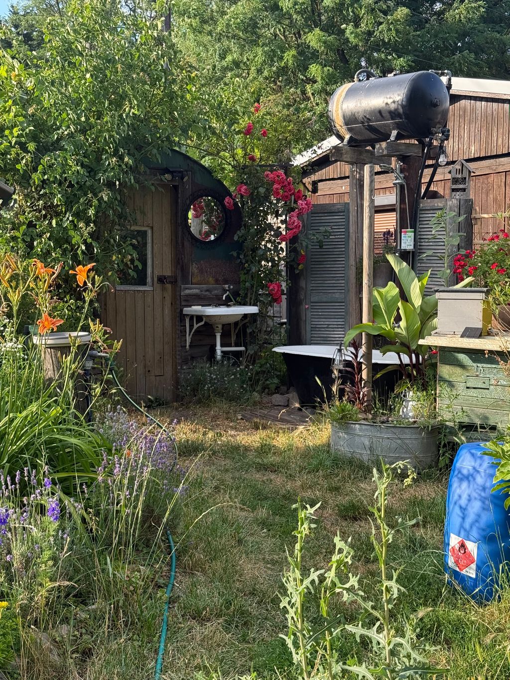 Biete einen Platz am Waldrand in schönem Garten