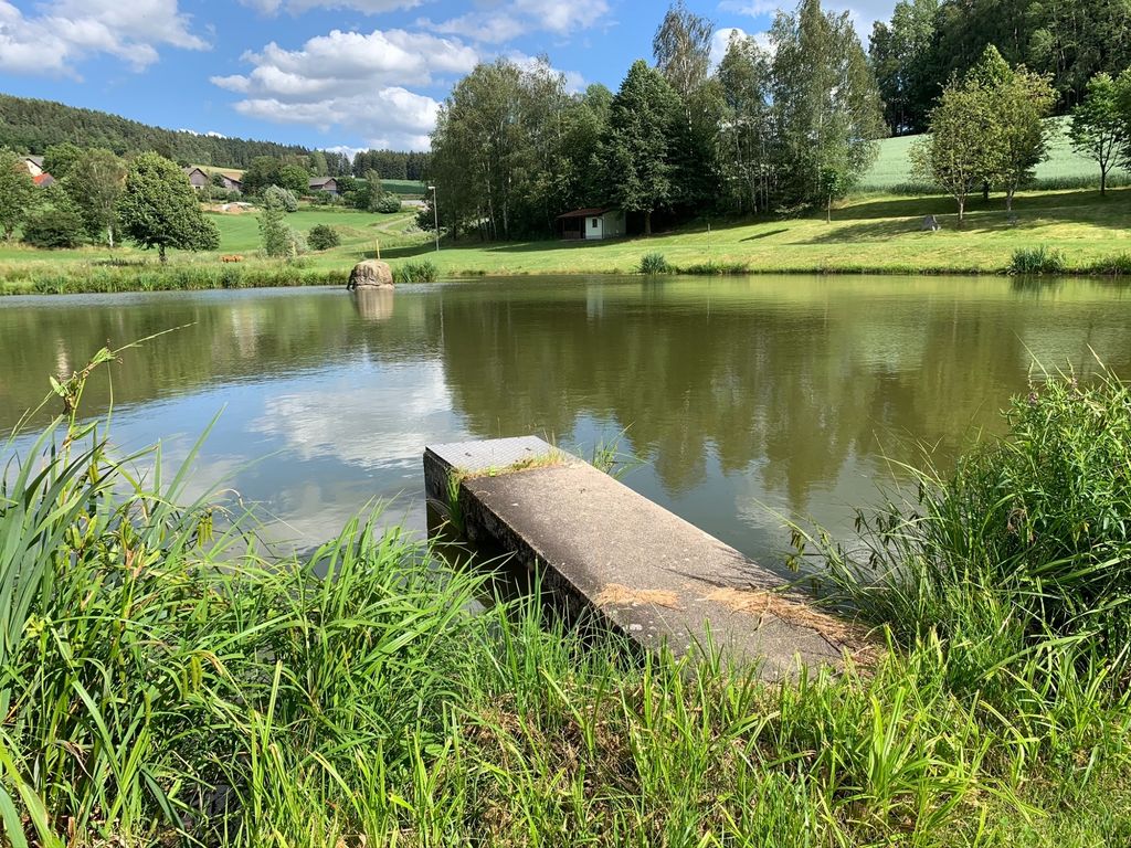 Al borde del bosque y de un pequeño lago: vacaciones en el estanque Mühlweiher