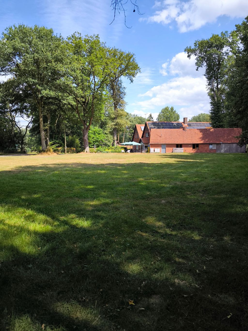  Disfrute y relájese en la granja de alpacas
