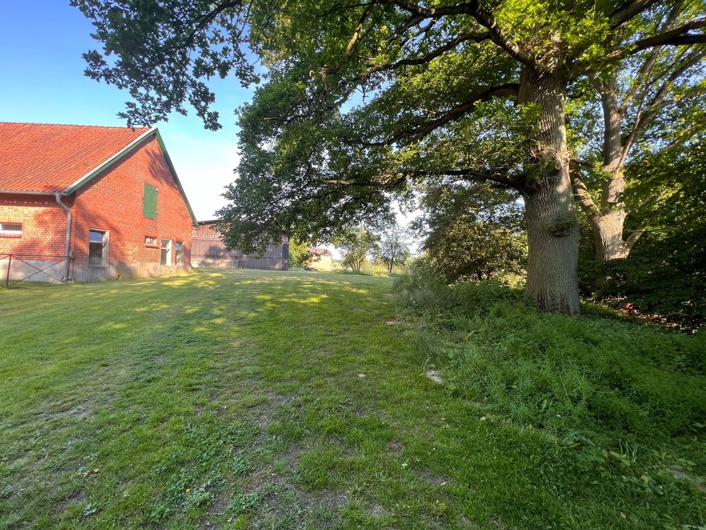 Die eigene Heide vor der Haustür