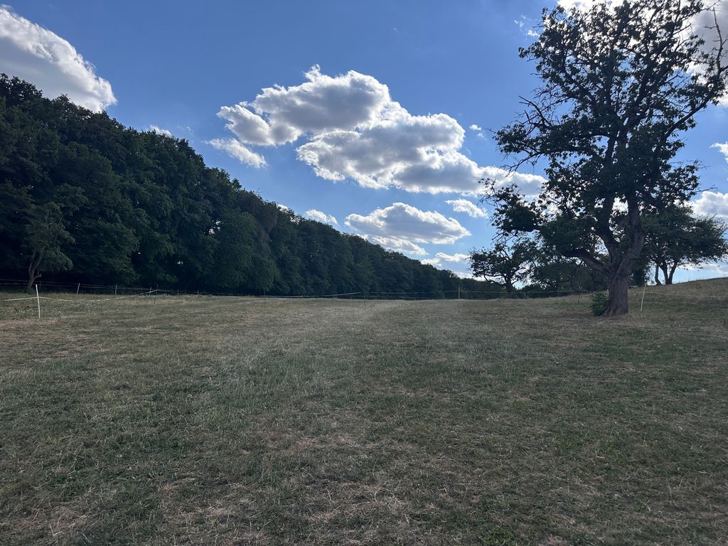 Vista dal campeggio