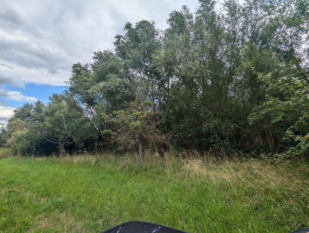 Un paesaggio idilliaco nei pressi di Bamberga, con un laghetto e meli