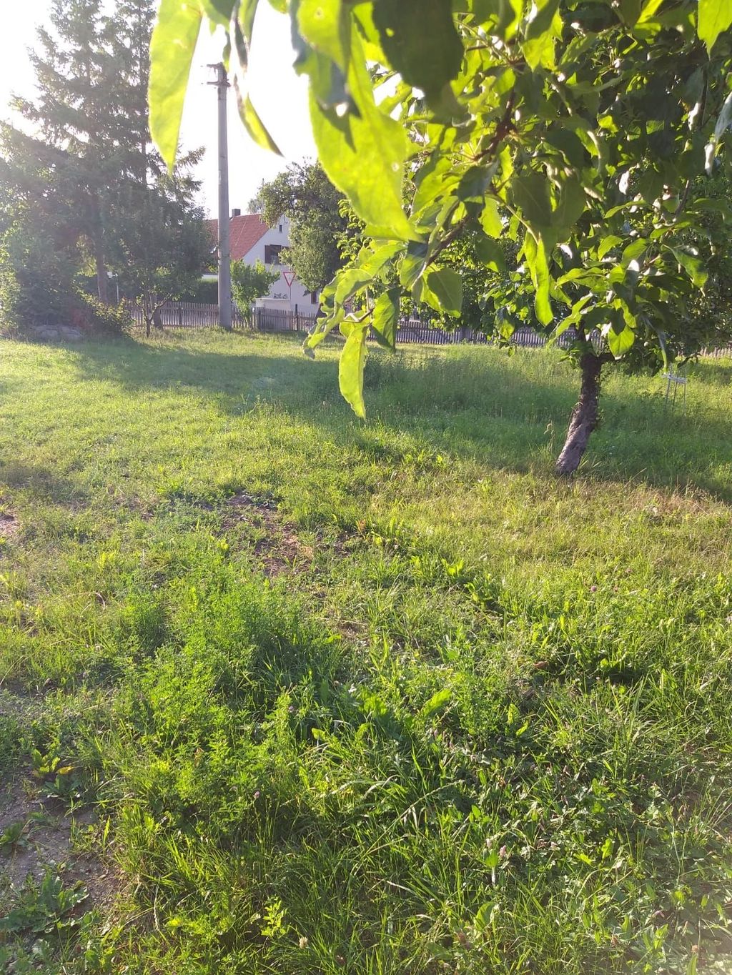 Camper en bordure de village sur une prairie fauchée