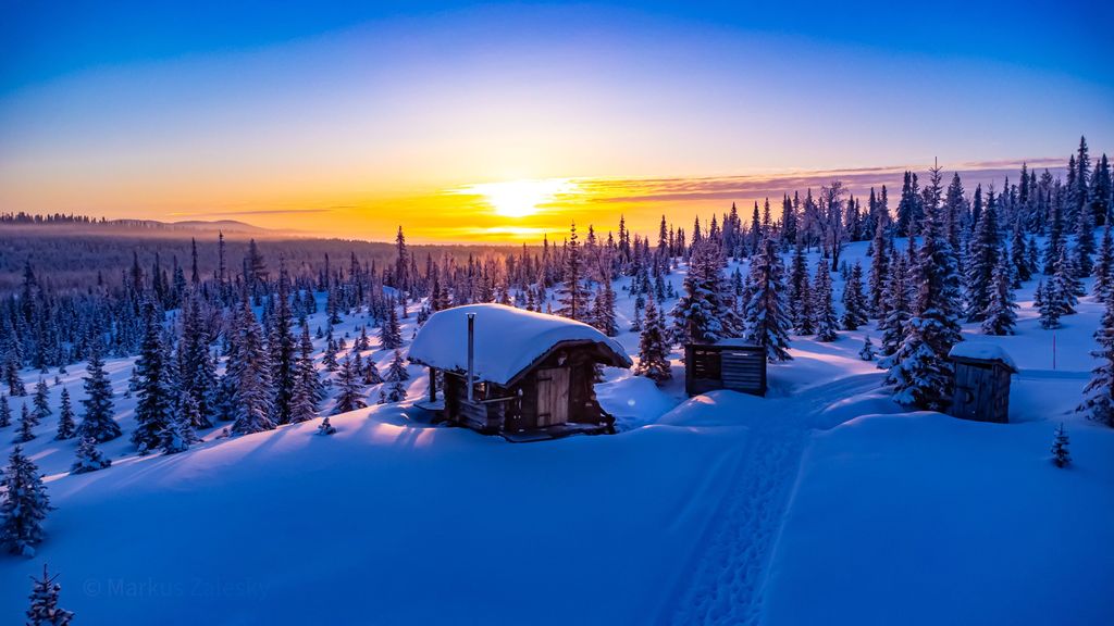 rustic log cabin "Mad Muskox" - border to wilderness