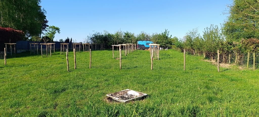 Emplacement dans le verger