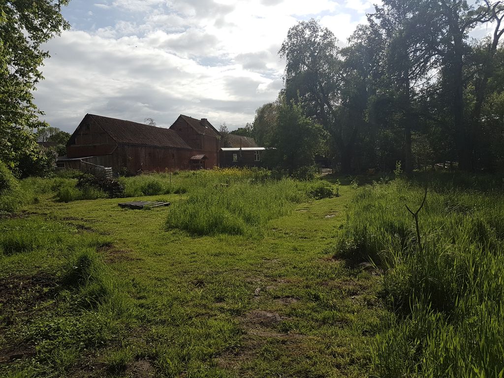 Im Rundlingsdorf im wilden Bienengarten campen