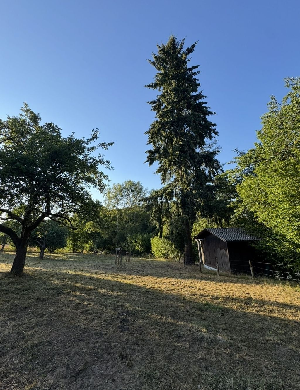 Your retreat: a cabin surrounded by unspoiled nature. Experience absolute peace and relaxation.