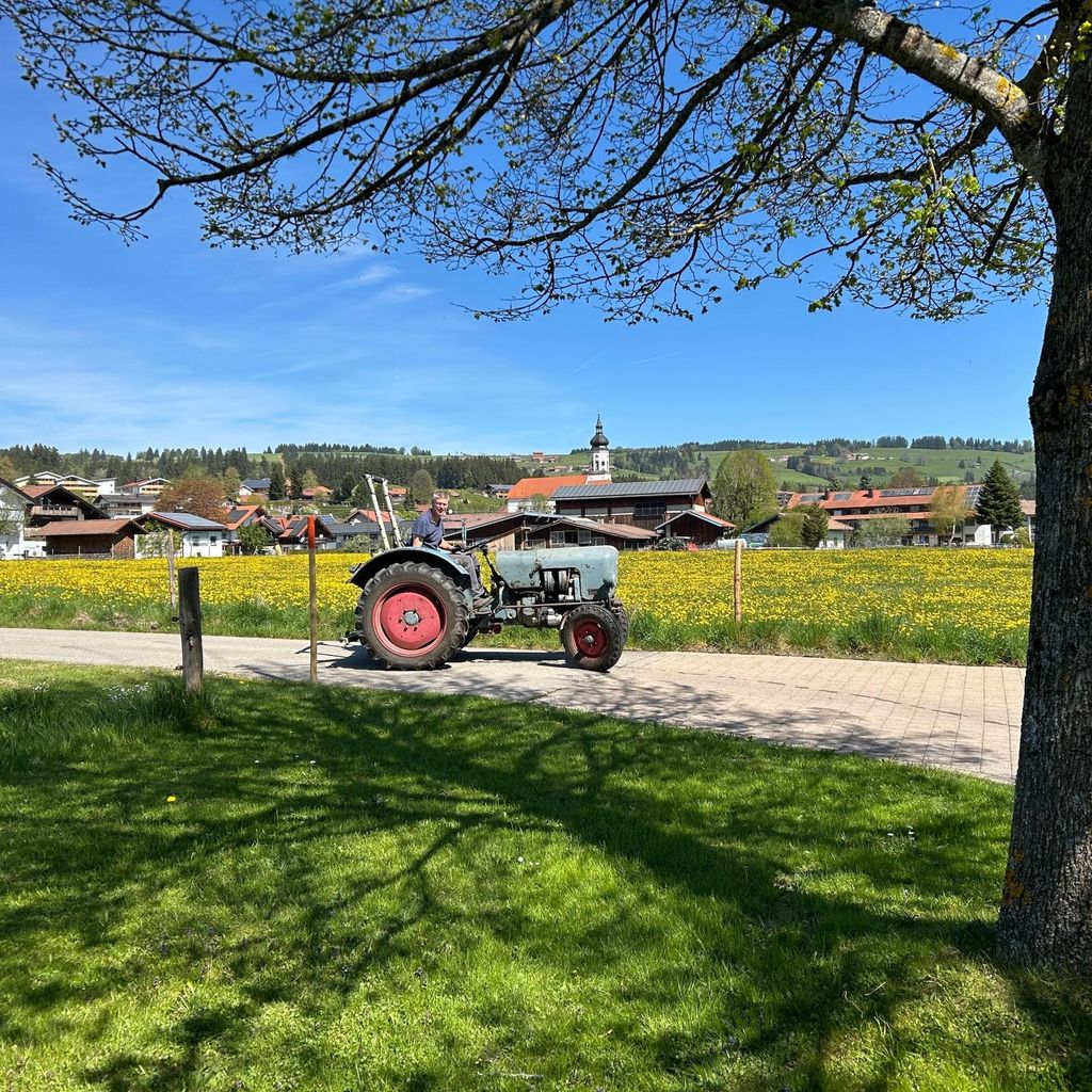 Ruhiger Stellplatz am Biohof mit Alpenblick