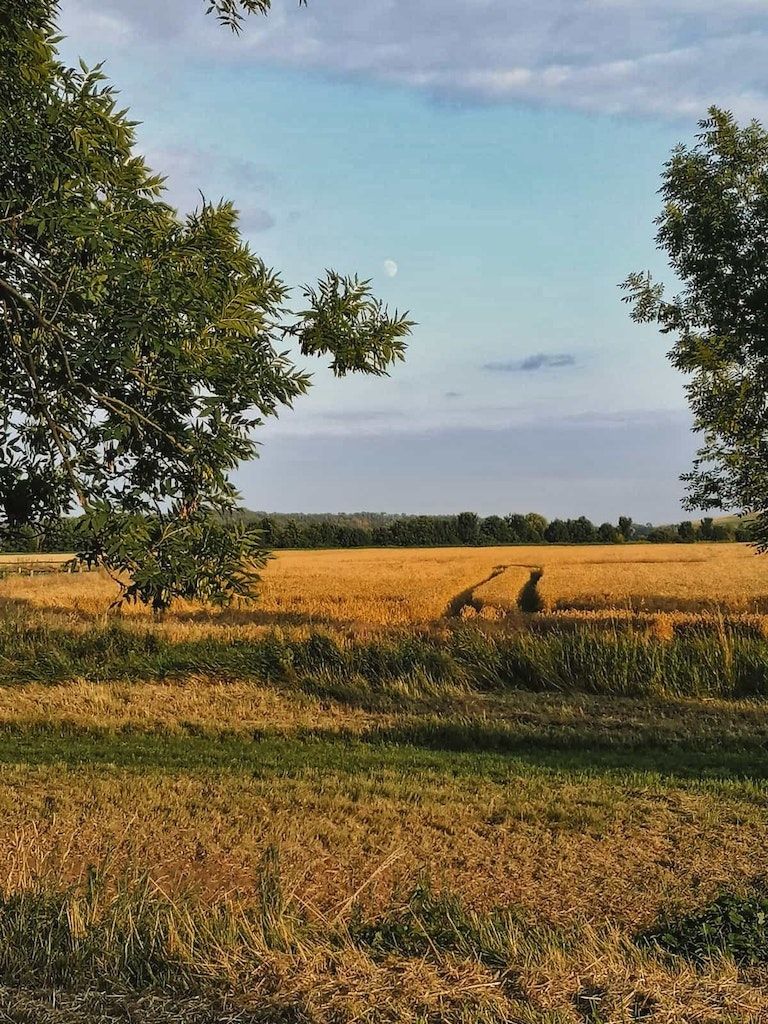 Wiese am Havelacker