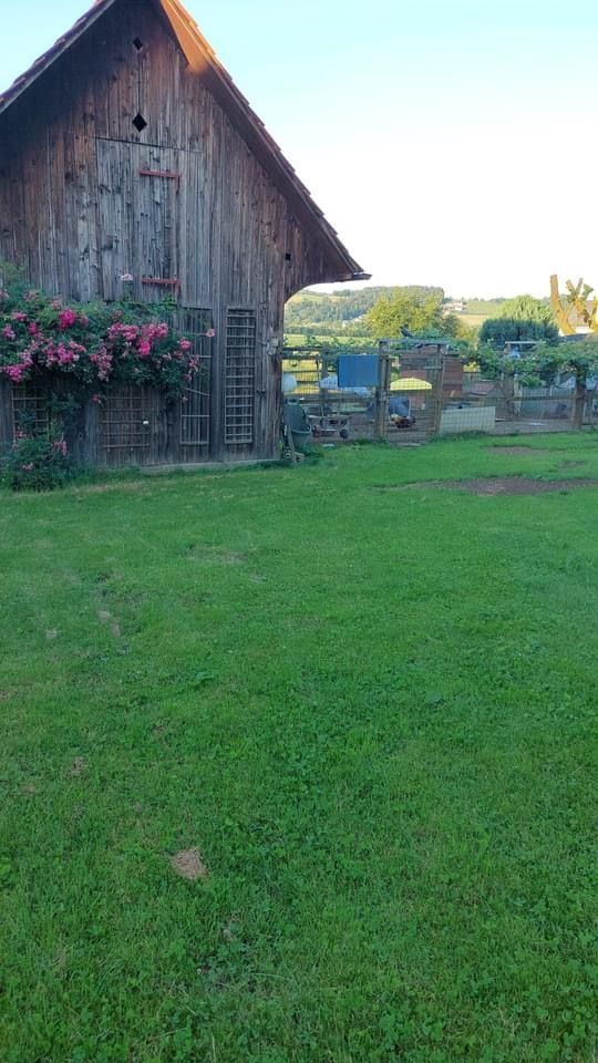 Piazzola per cani in un'antica fattoria