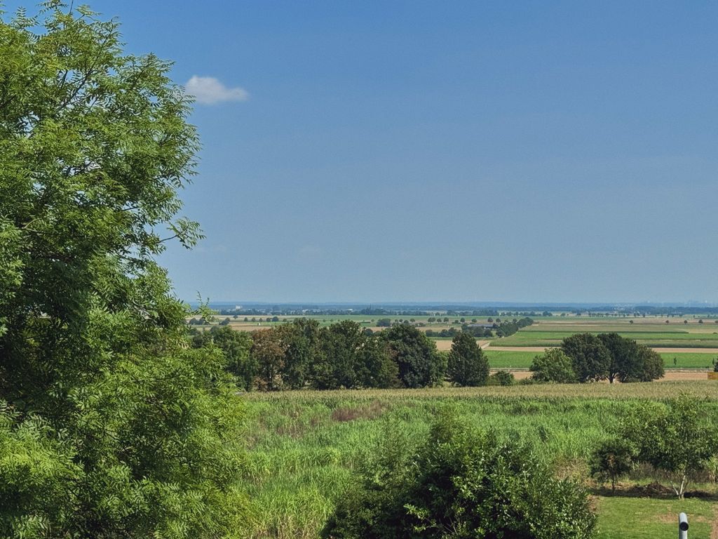 Drover Heide Camp am Waldrand in der Eifel