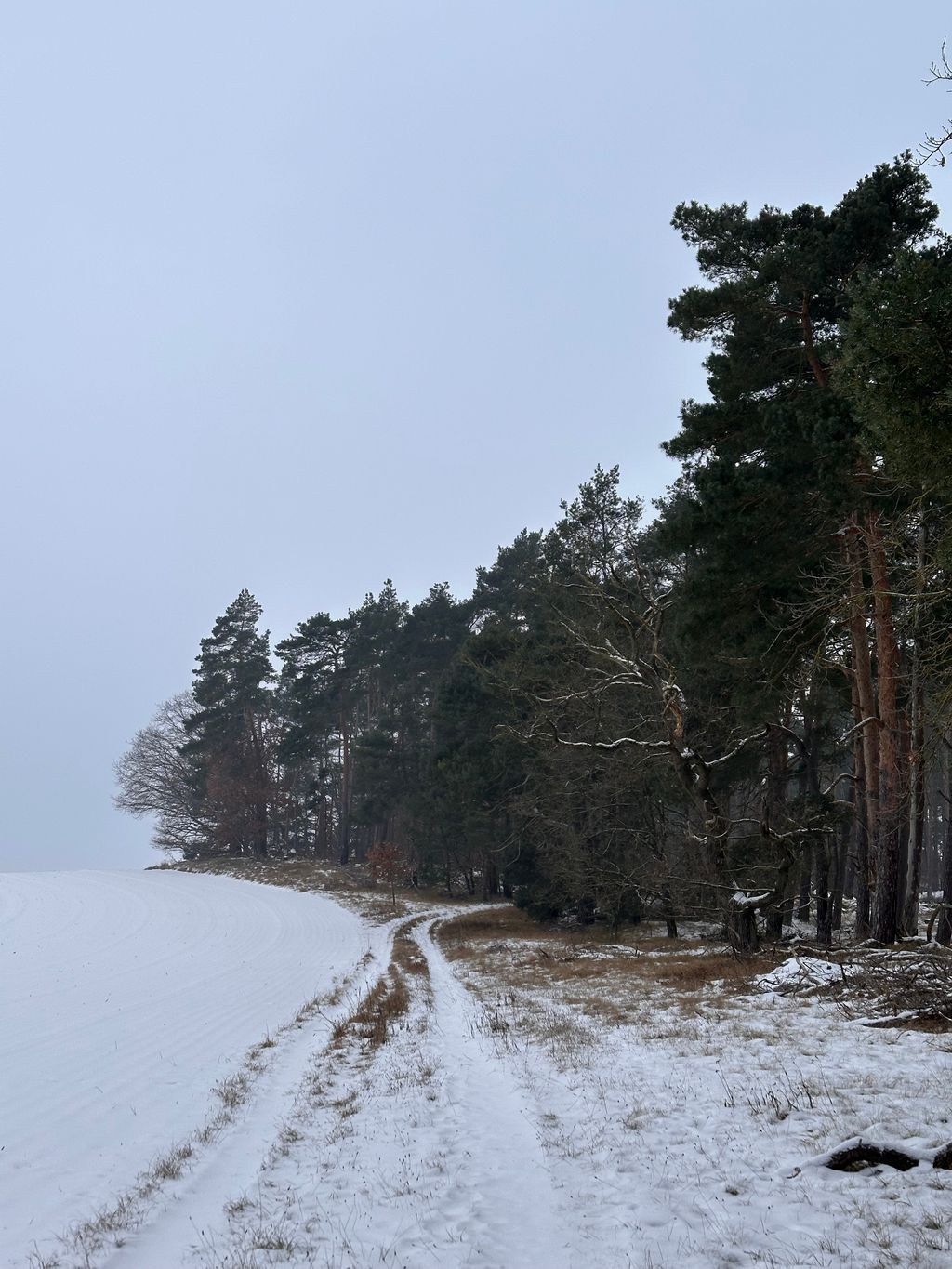 Iglucraft dans le parc naturel de Wendland, près de l'Elbe