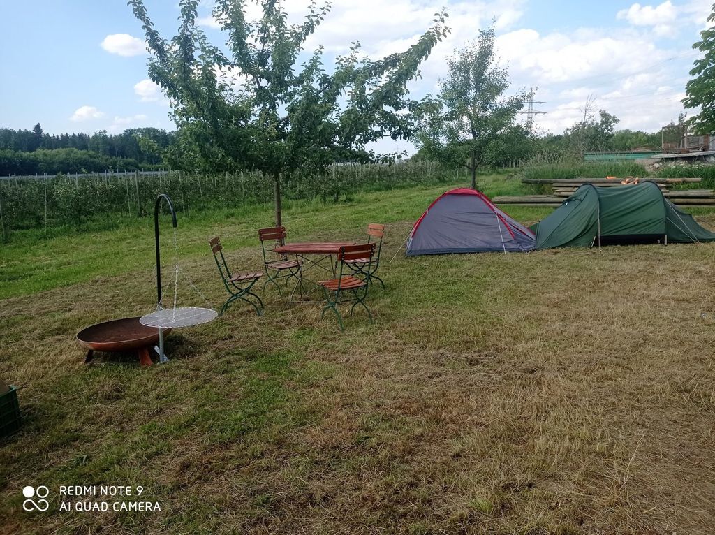 Camping at the orchard only 10 km to Lake Constance