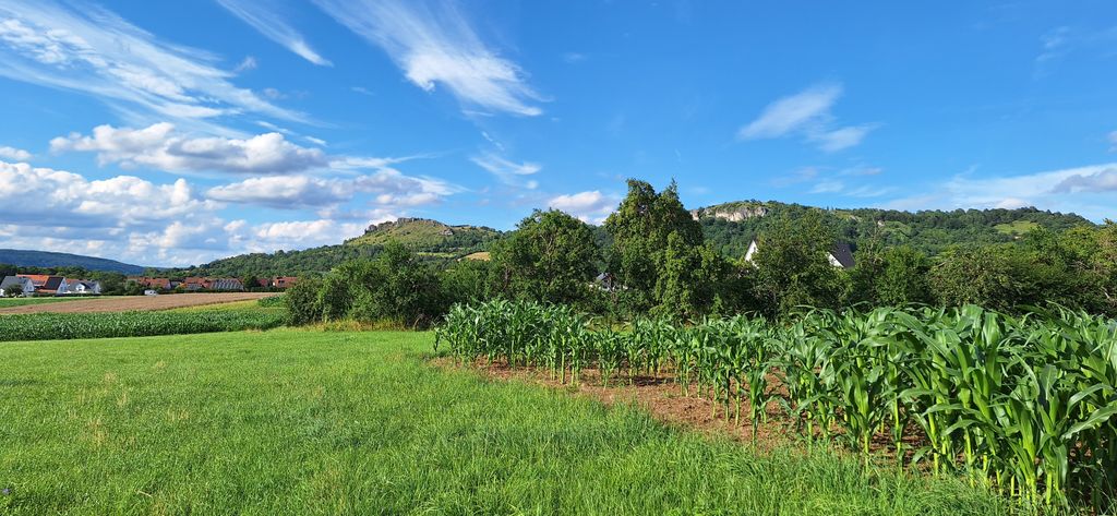 Il mio giardino nella Svizzera francese per voi