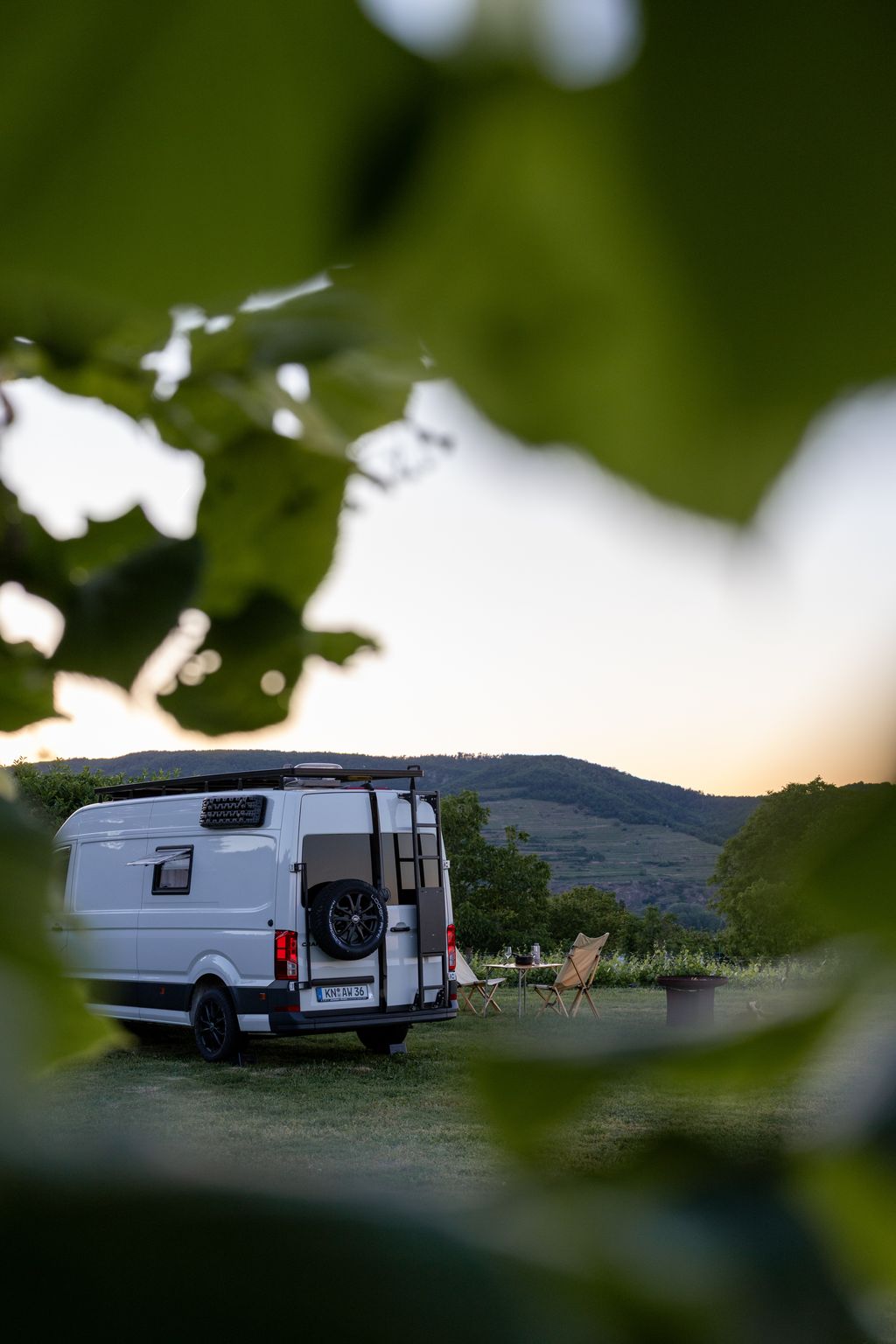 Blick über die Weinberge der Wachau