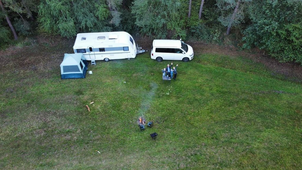Green meadow in the forest or idyllic yard parking lot