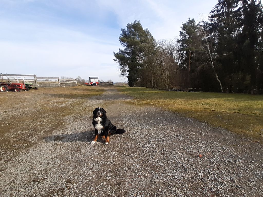 Stellplätze am Waldrand Nähe Bergwerk 