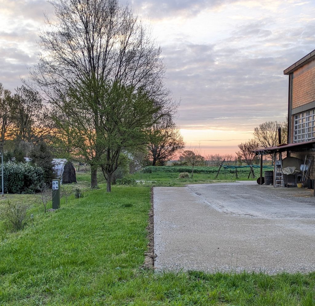 Ferme biologique de Parme : vin, miel et tracteurs d'époque