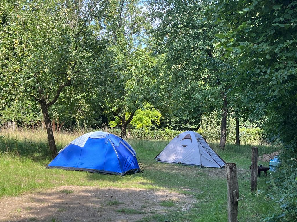 Campeggio nel frutteto nel bosco della vecchia fattoria