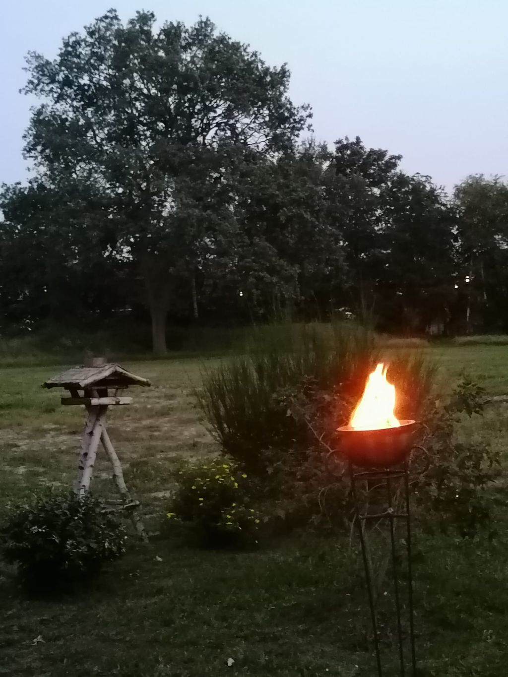 Unter den Eichen in Ostfriesland 