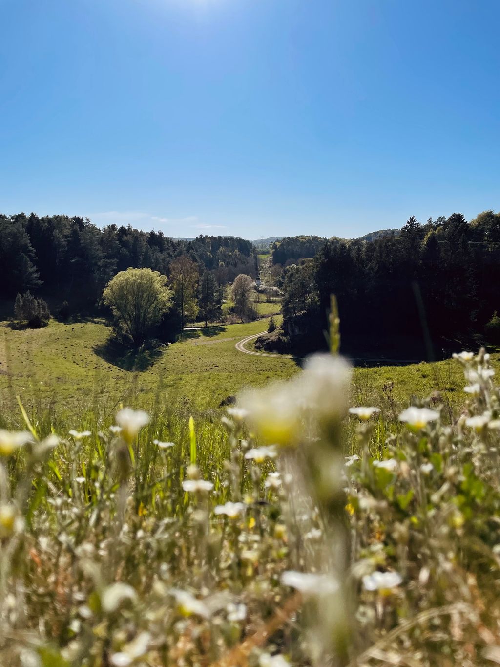 Weg zur Schwarzen Laber