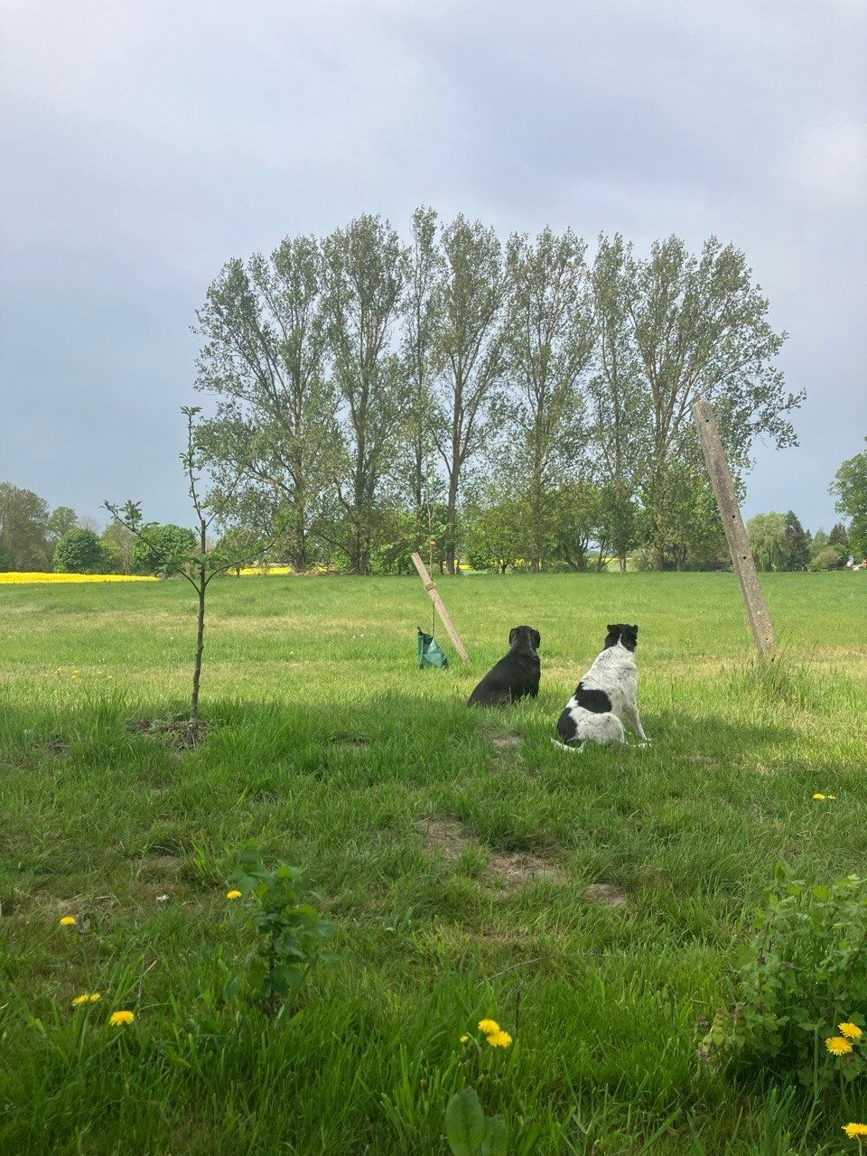Old Wardow Sports Field