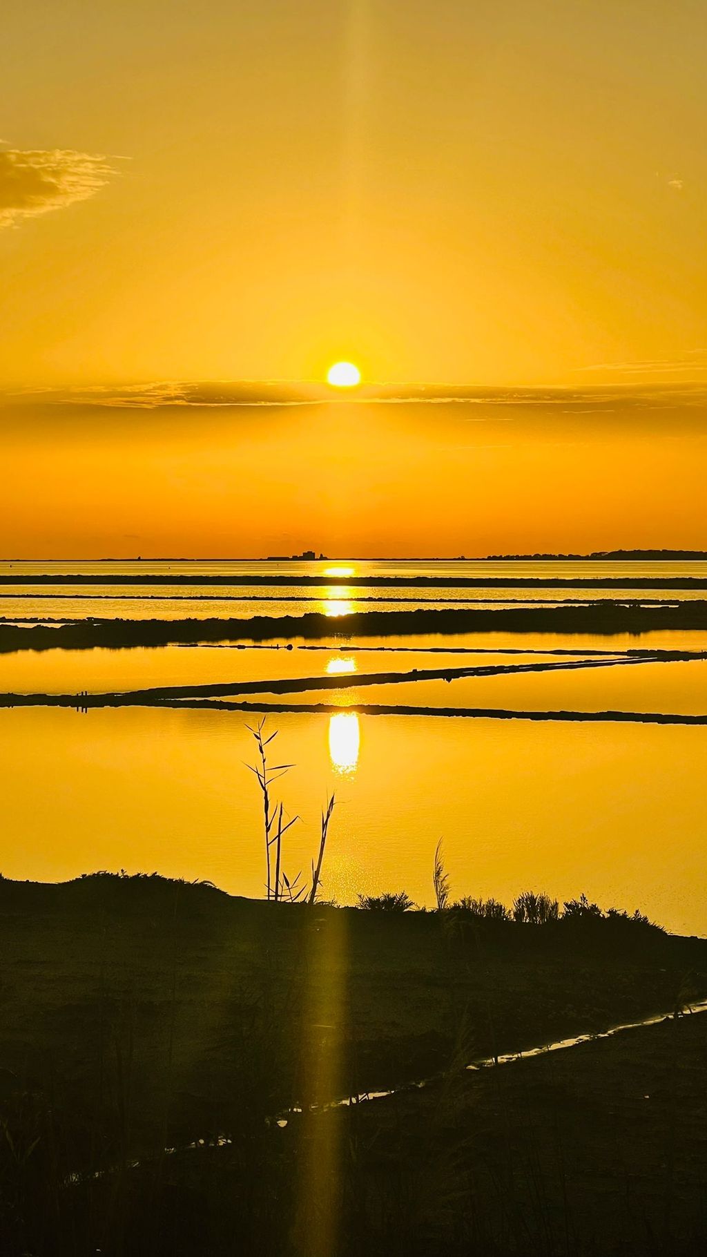 In the Stagnone nature reserve in Marsala