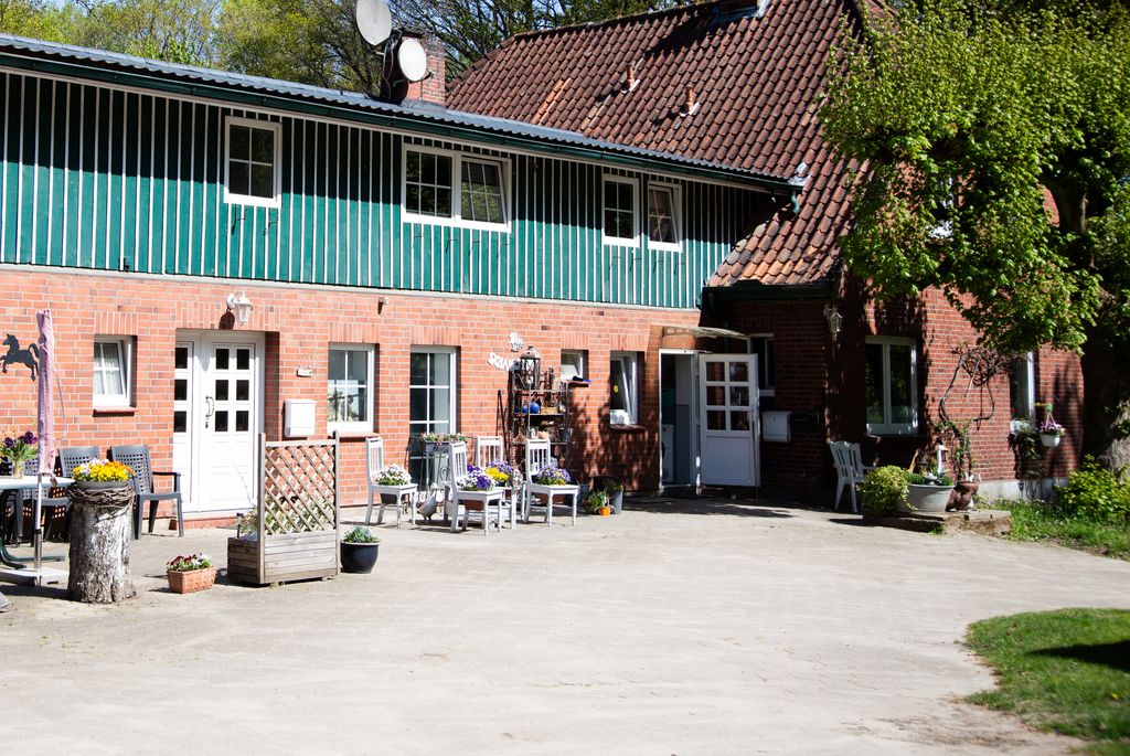 Pastos para caballos en la reserva natural de Lüneburg Heath