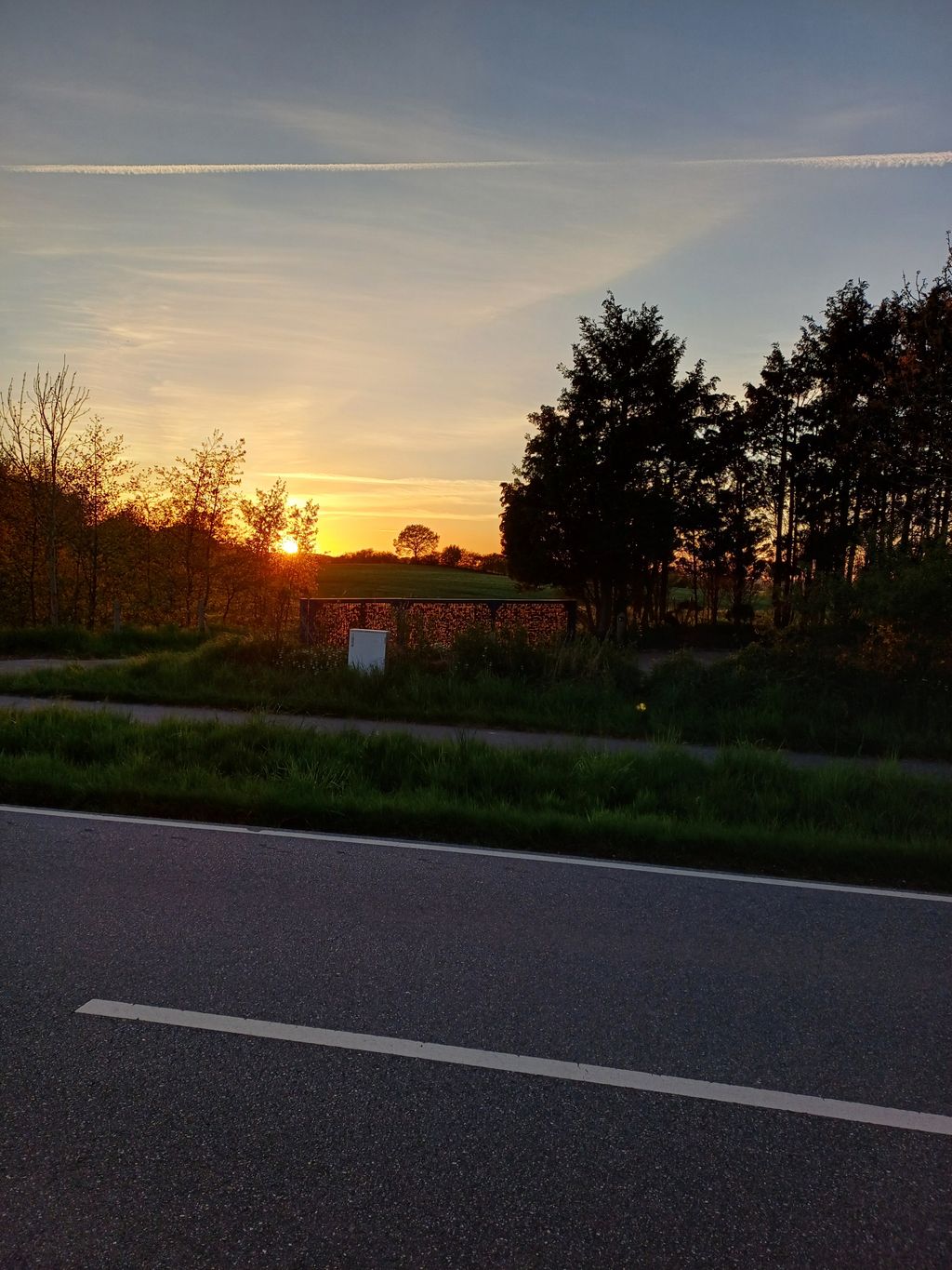 Naturnaher Stellplatz in der Nähe der Schlei