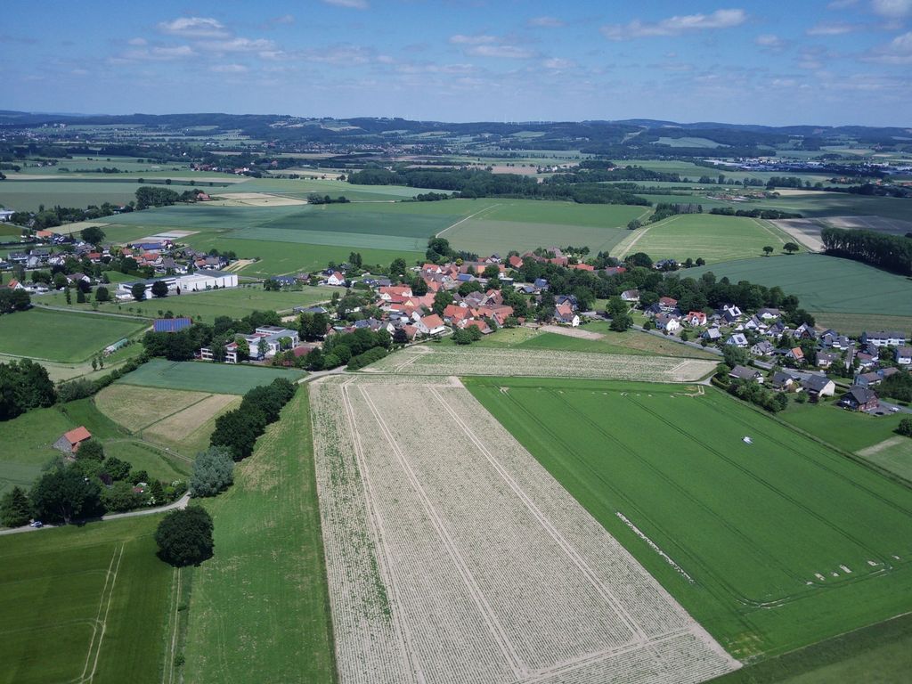 Am Feldrand in der Nähe des Teutoburger Walds