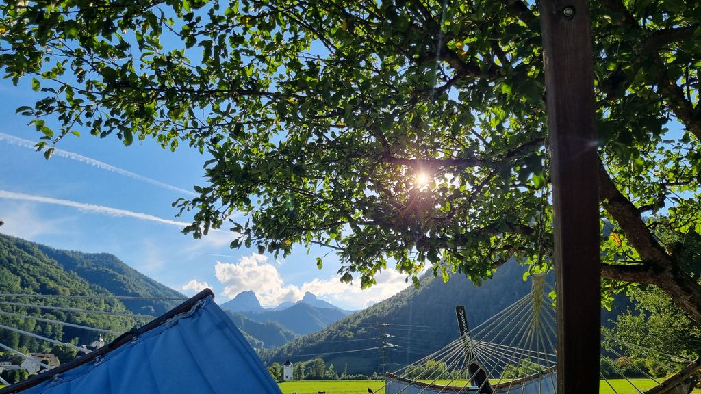 View from the hammock in the