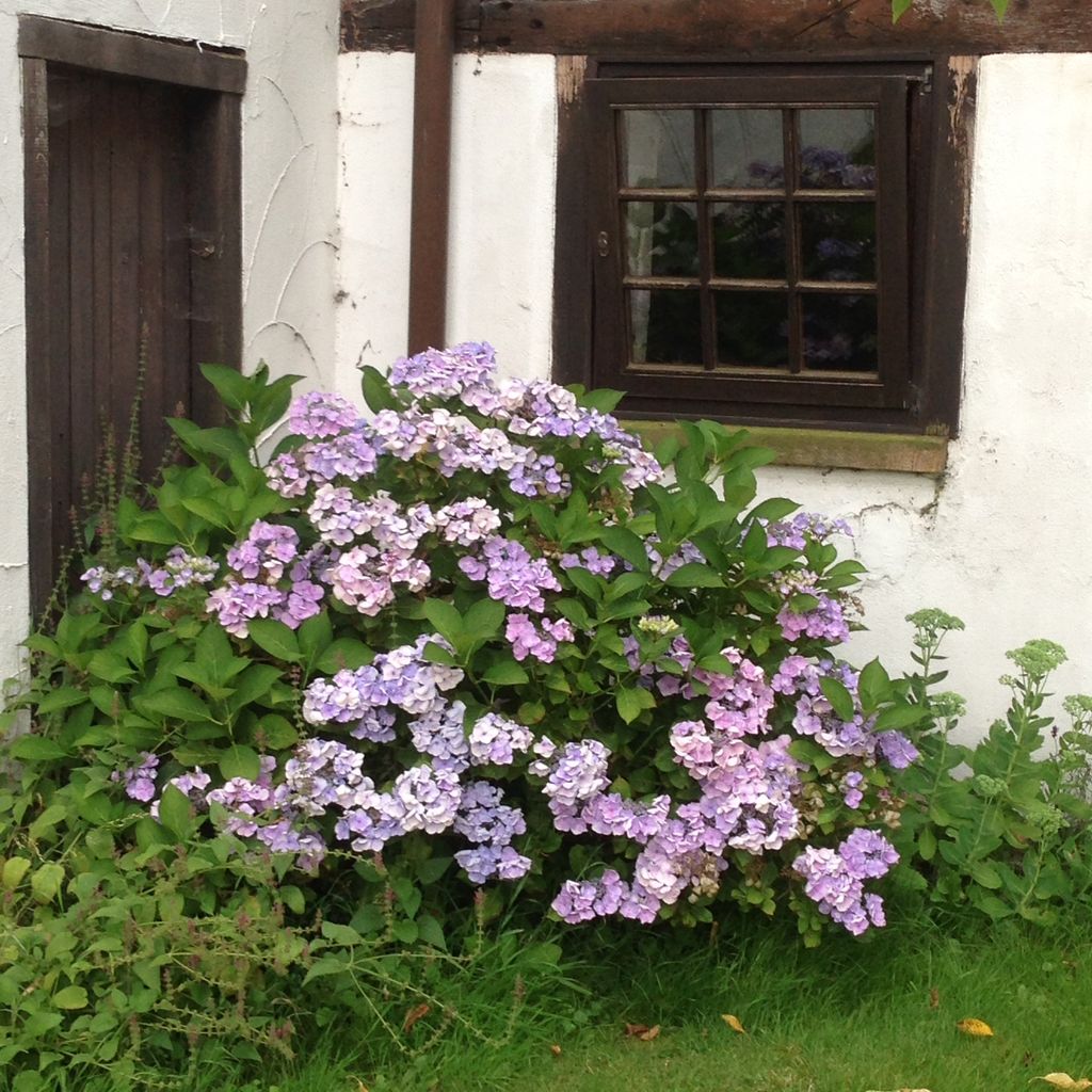 Parcela junto a pasto para caballos y estanque natural