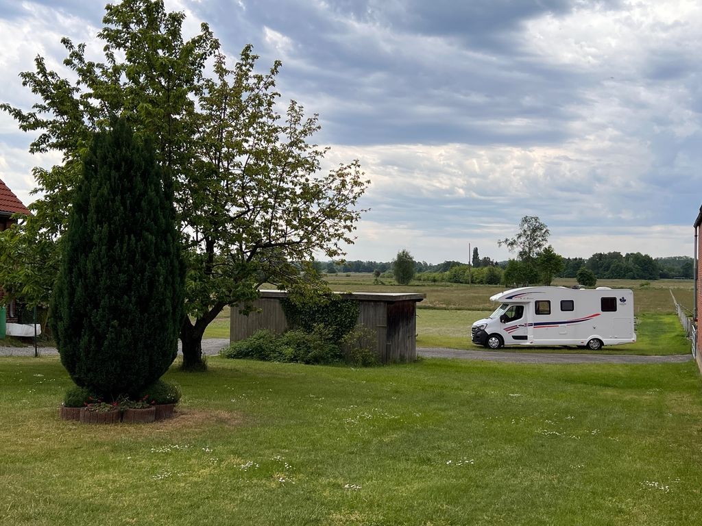 Emplacement âne du Poitou au bord de la Steinhuder-Meer
