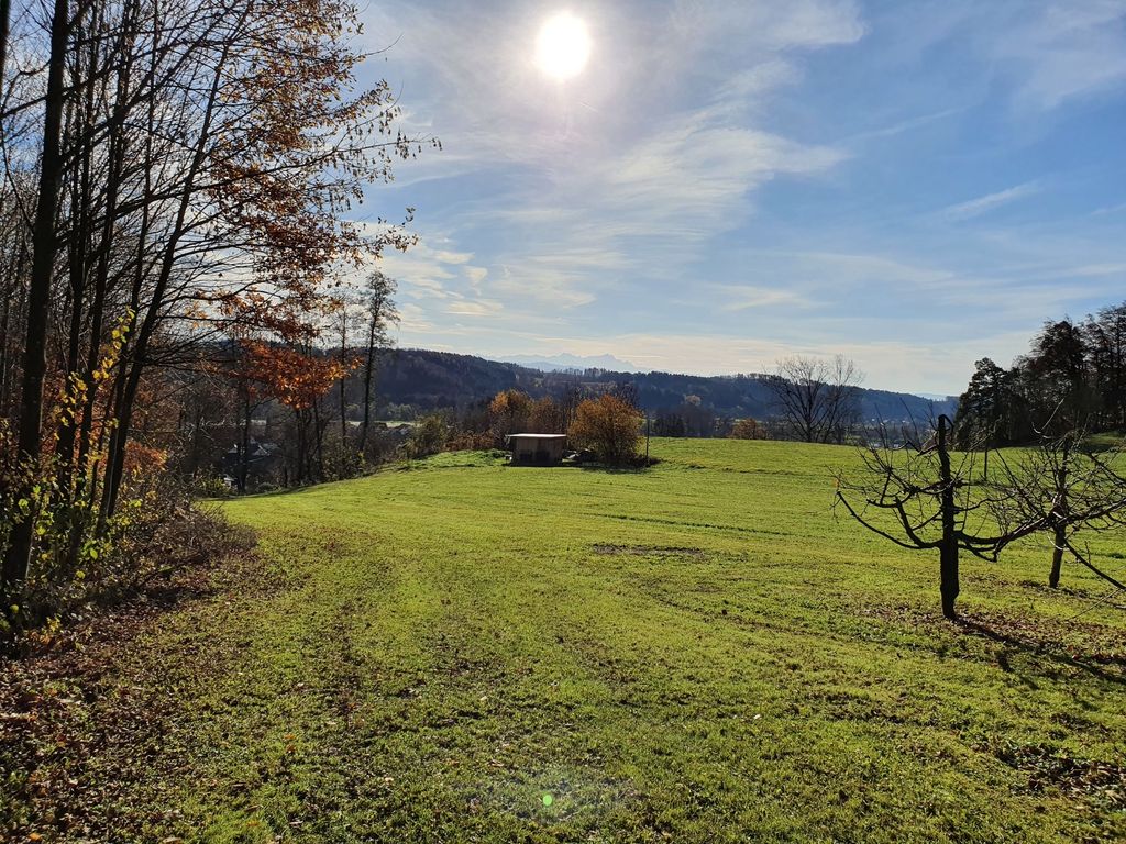 Zwischen Obst und Hopfen im Bodensee-Hinterland