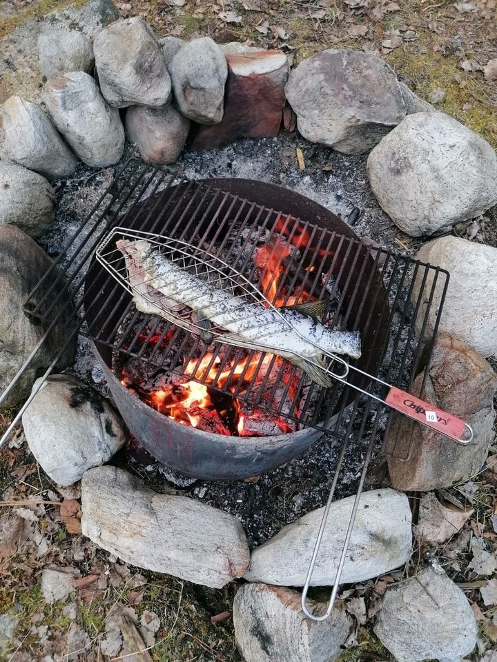 Fisch aus dem See