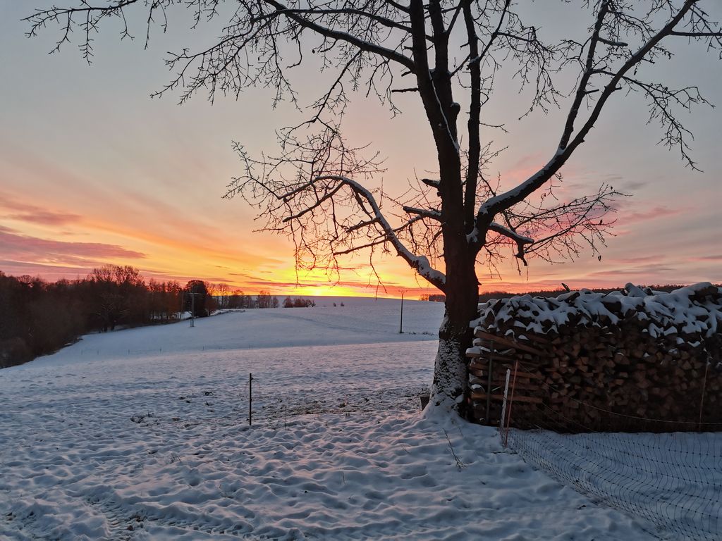 Tranquilidad absoluta: tiempo libre en la granja