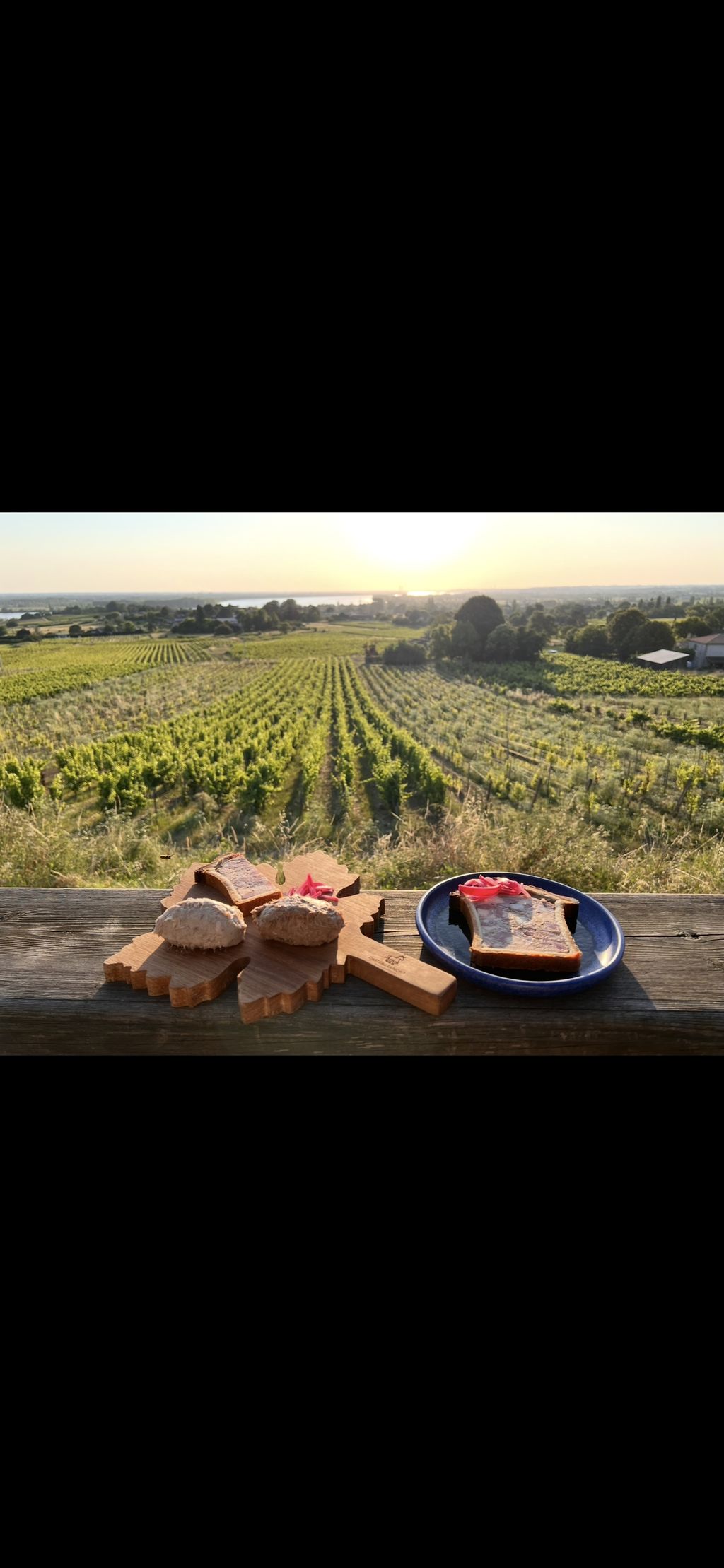 Dégustation & Nuit en Plein Cœur des Vignes