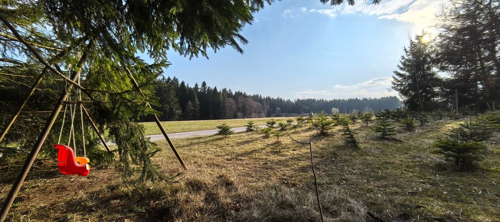 Camping on the alpine pasture and by the stream at 800 meters altitude