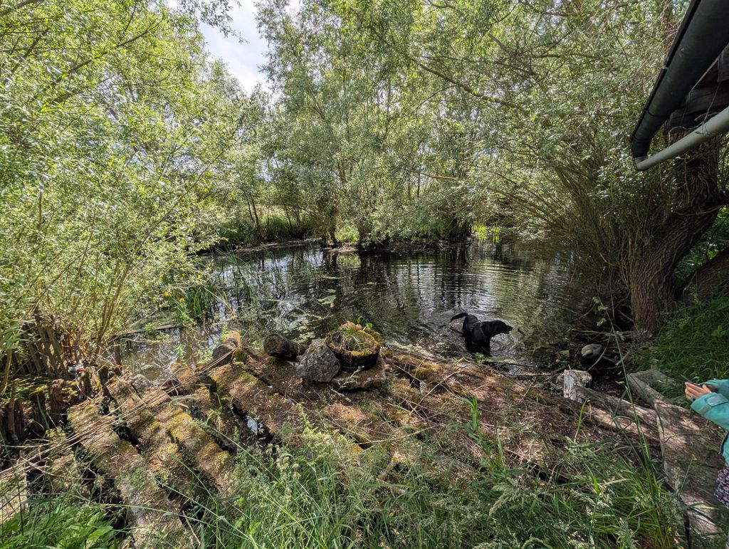 Un paesaggio idilliaco nei pressi di Bamberga, con un laghetto e meli