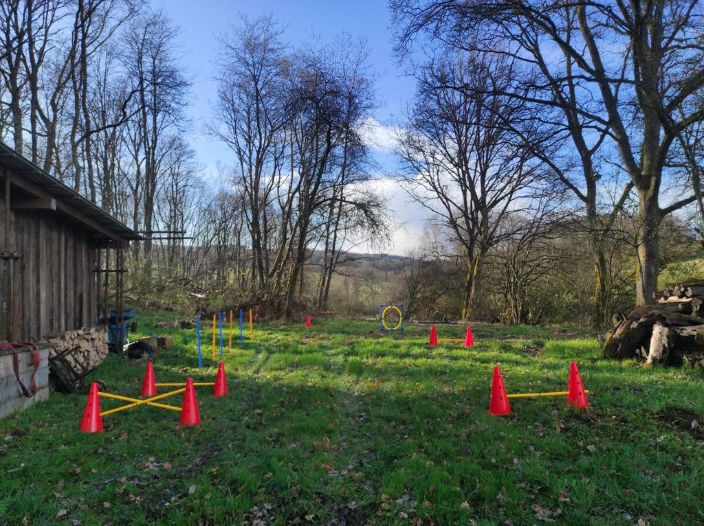 A place in the green under a walnut tree